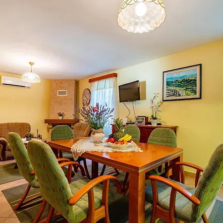 Castra Ferienhaus Drivenik