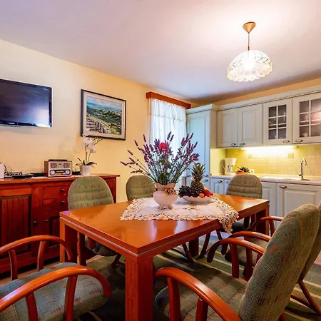 Castra Dom wakacyjny Drivenik